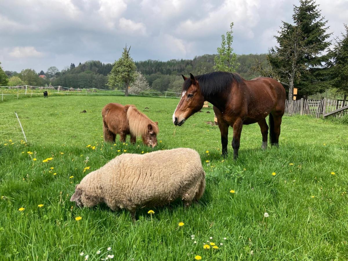 Gut Kalkhaeuschen, Ein Ort Mit Geschichte Leilighet Aachen Eksteriør bilde